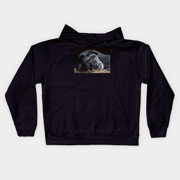 Portrait of a Chimpanzee Kids Hoodie by TonyNorth